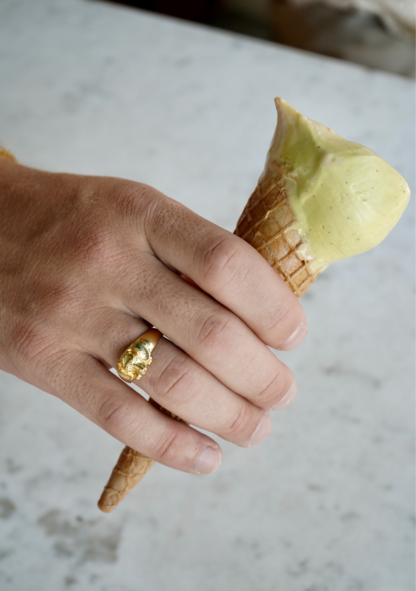 Dog Signet Ring Gold