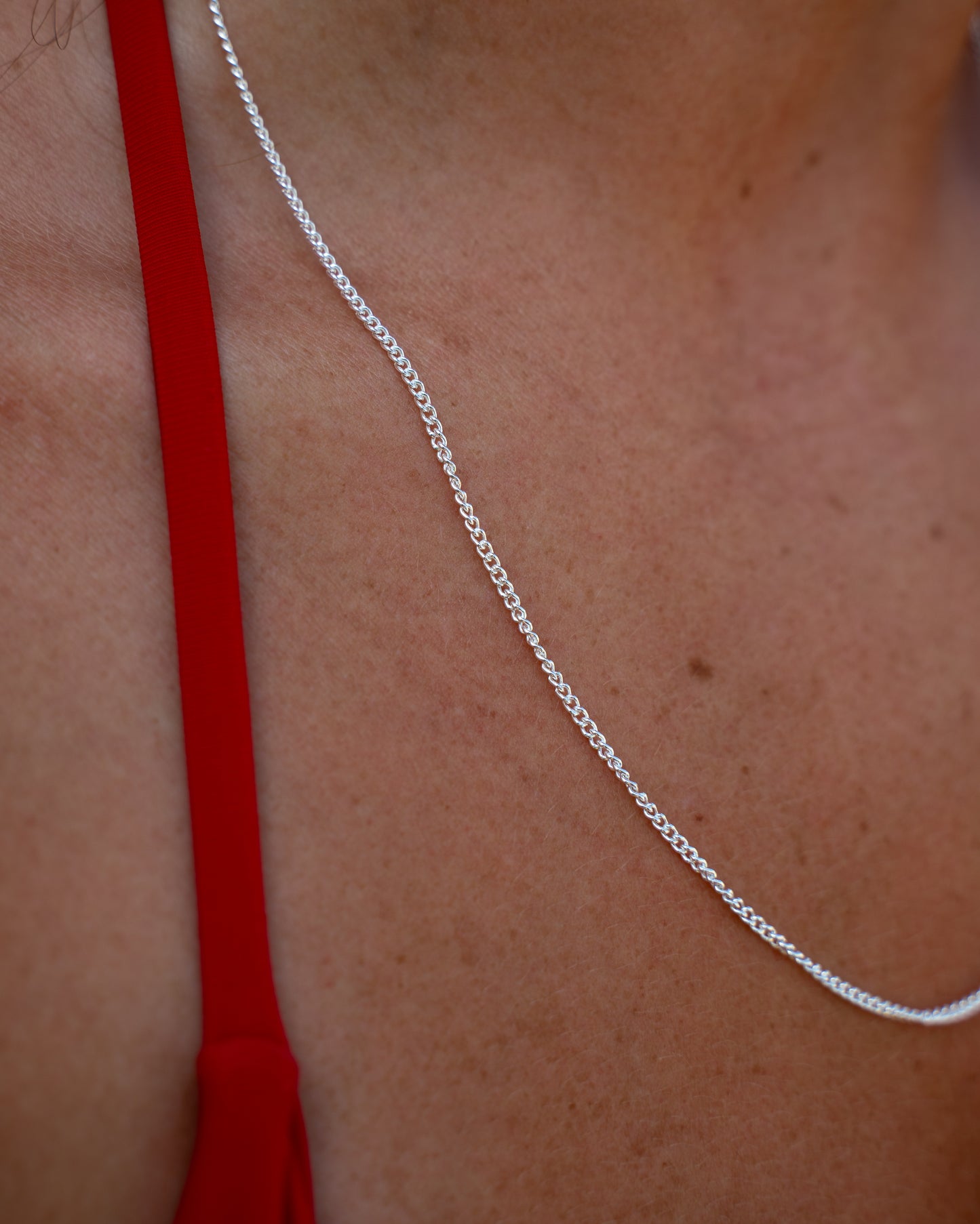 Pansar Necklace Silver 1mm