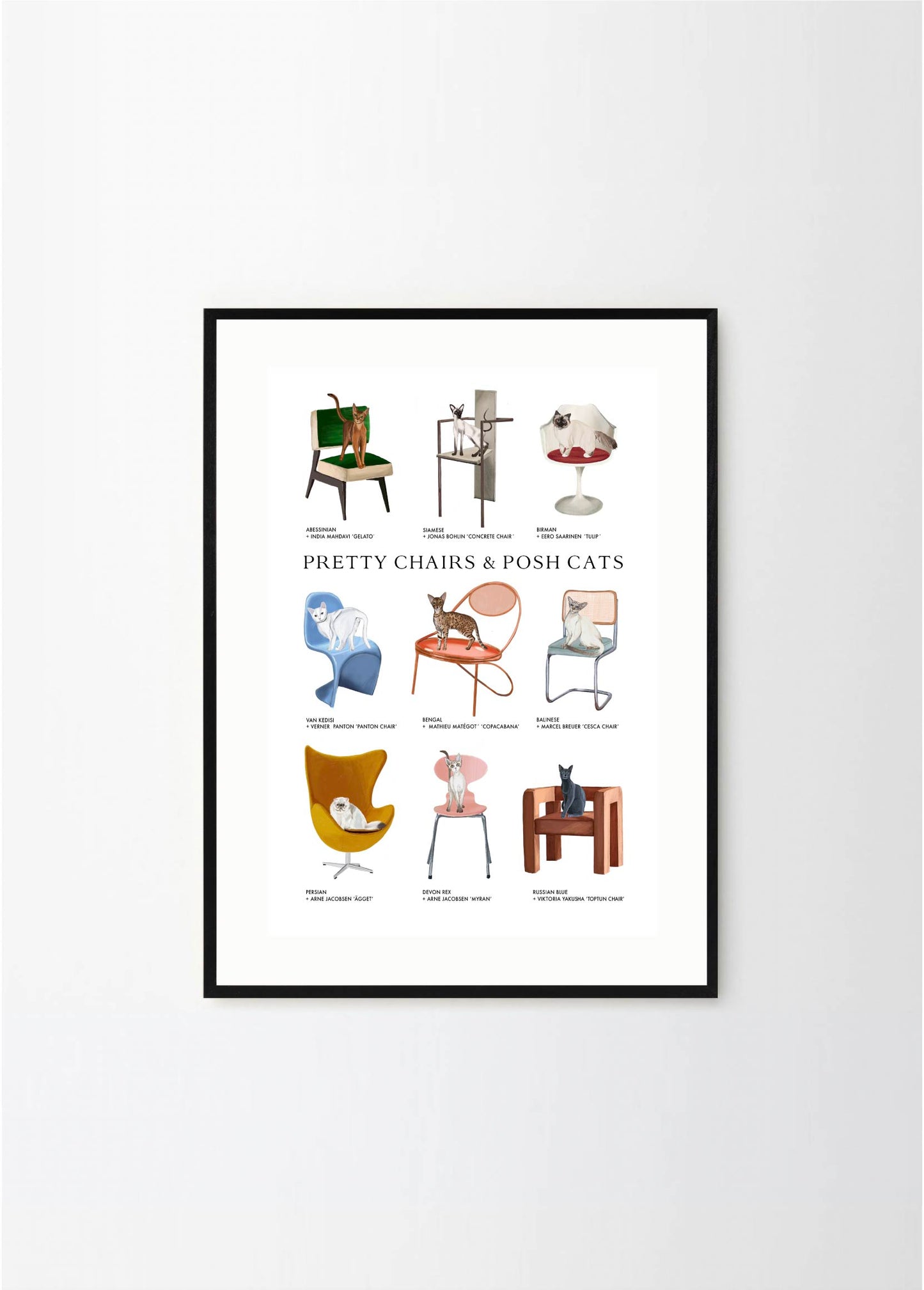 Pretty Chairs & Posh Cats