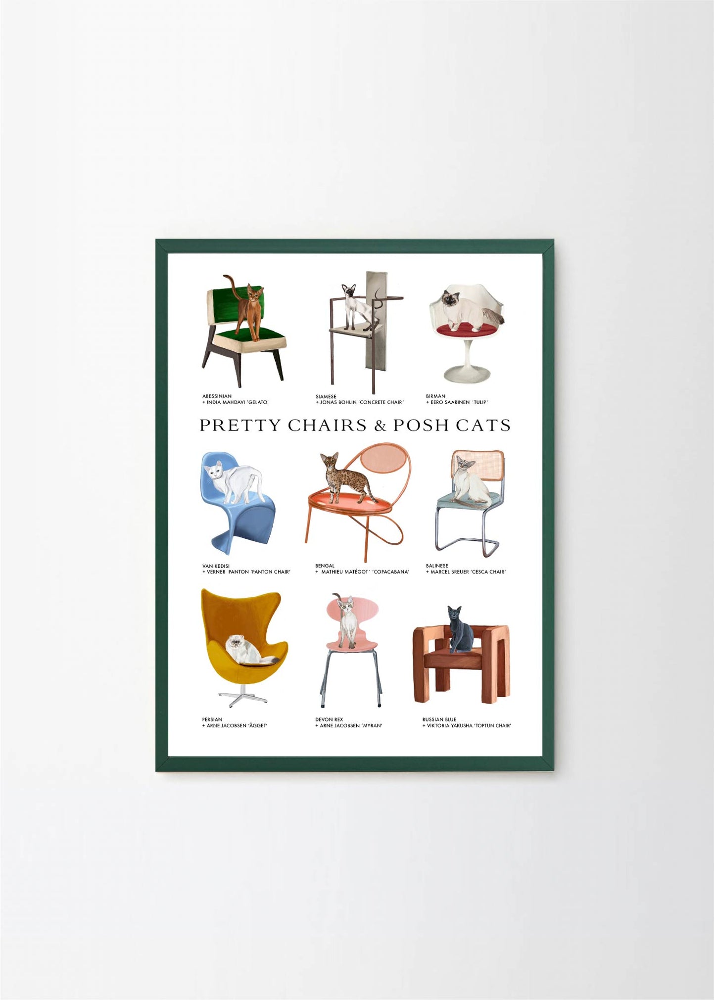 Pretty Chairs & Posh Cats