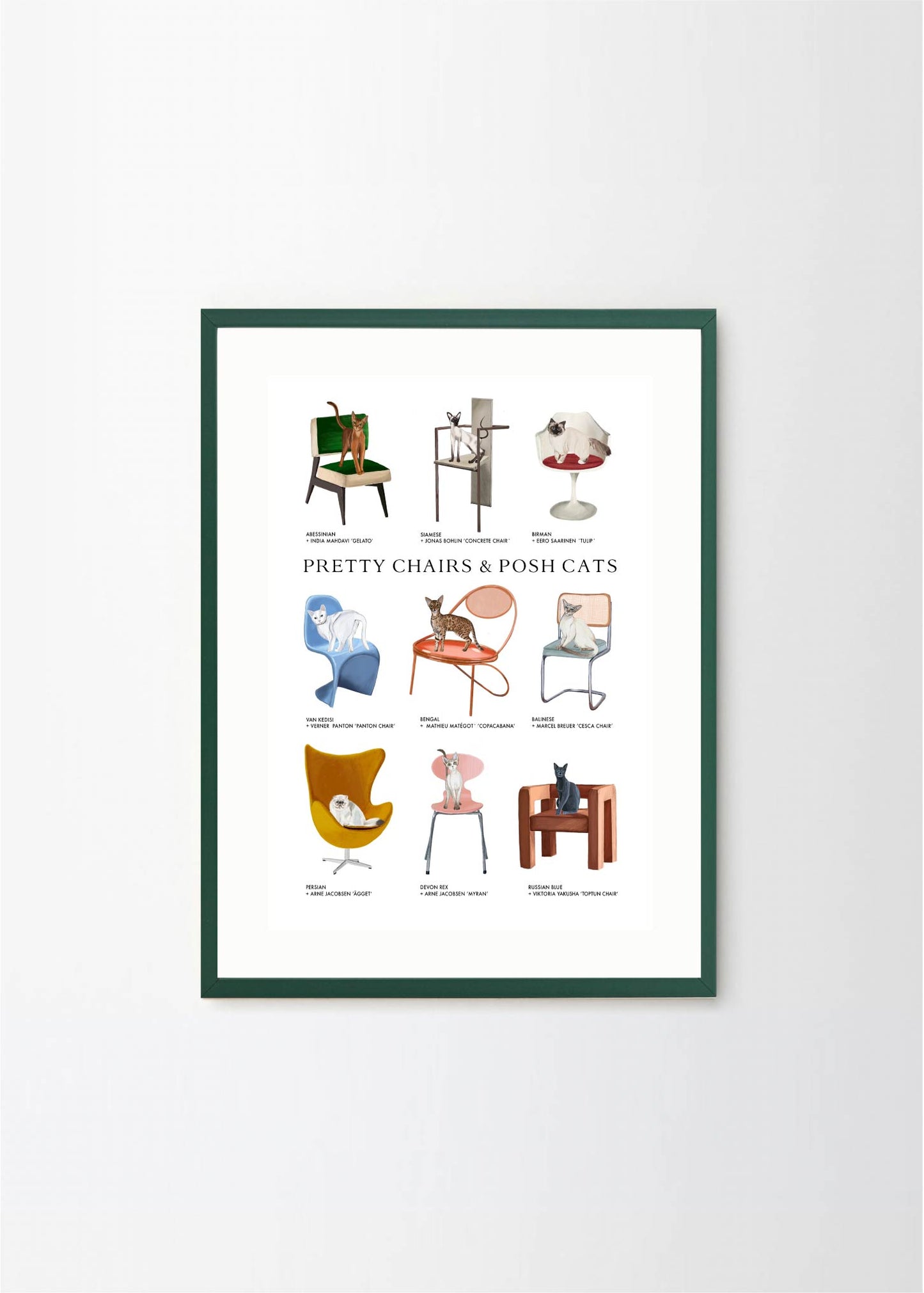 Pretty Chairs & Posh Cats