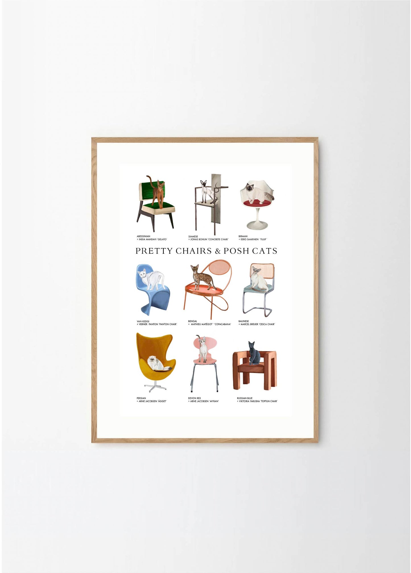 Pretty Chairs & Posh Cats