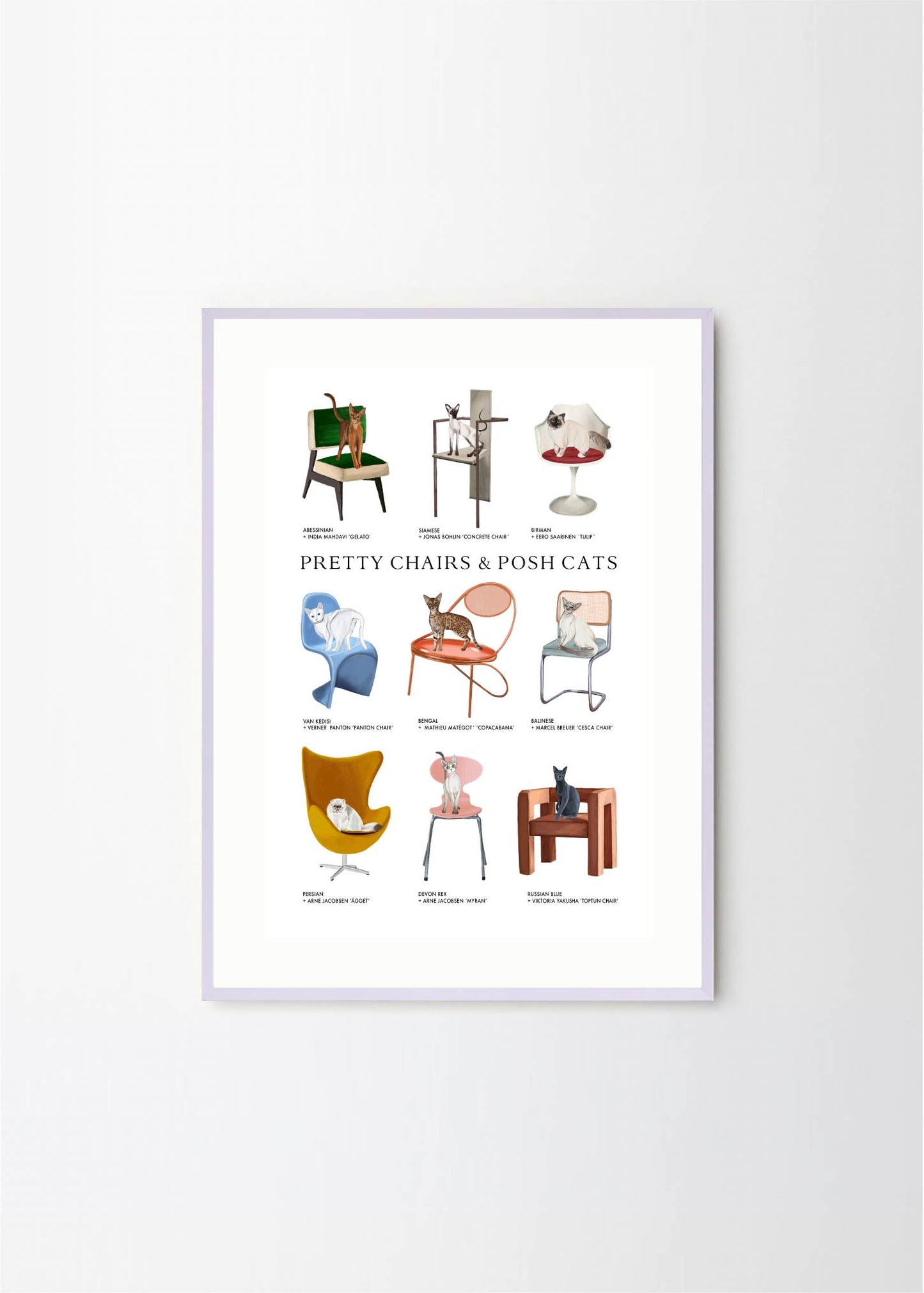 Pretty Chairs & Posh Cats