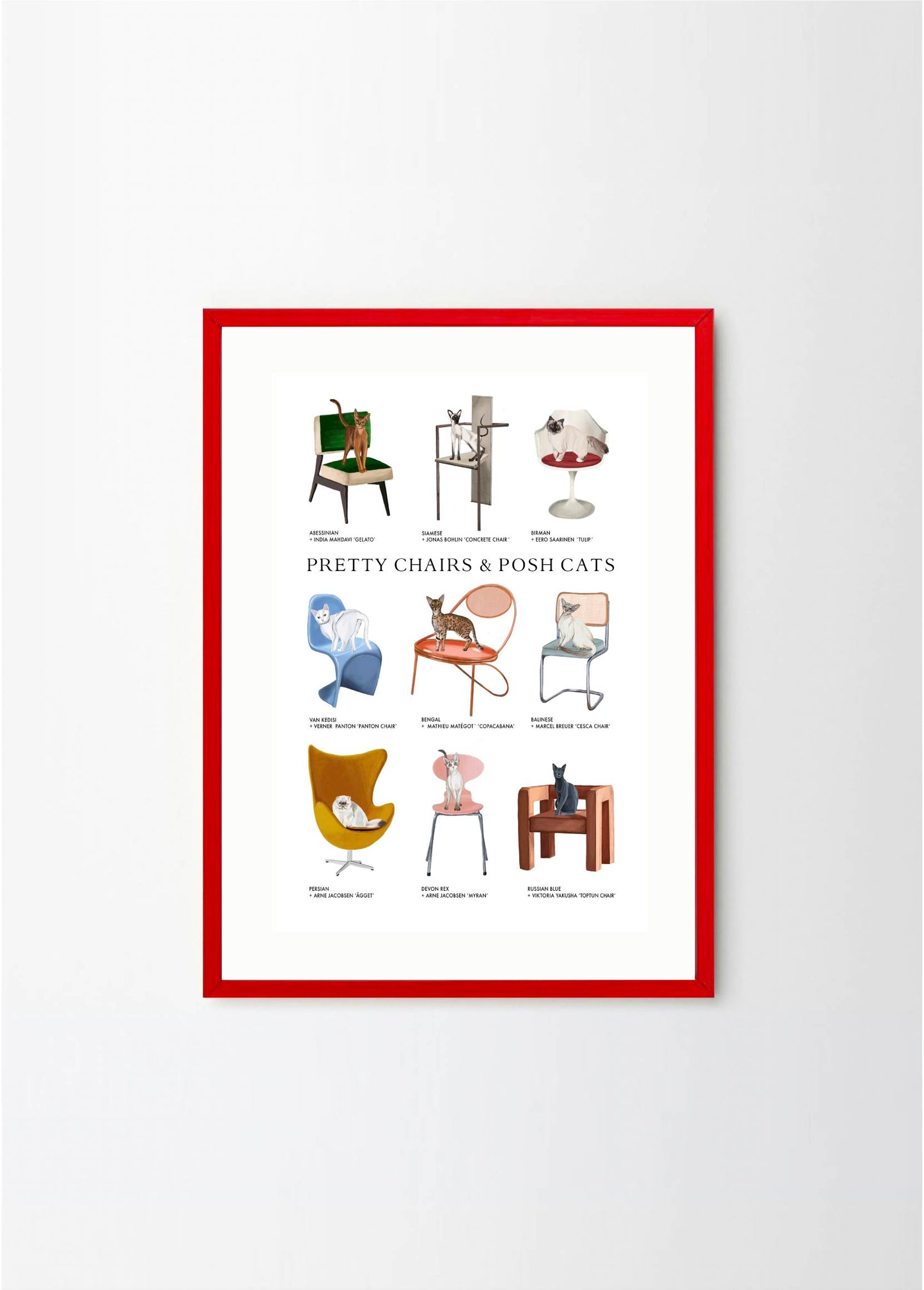 Pretty Chairs & Posh Cats