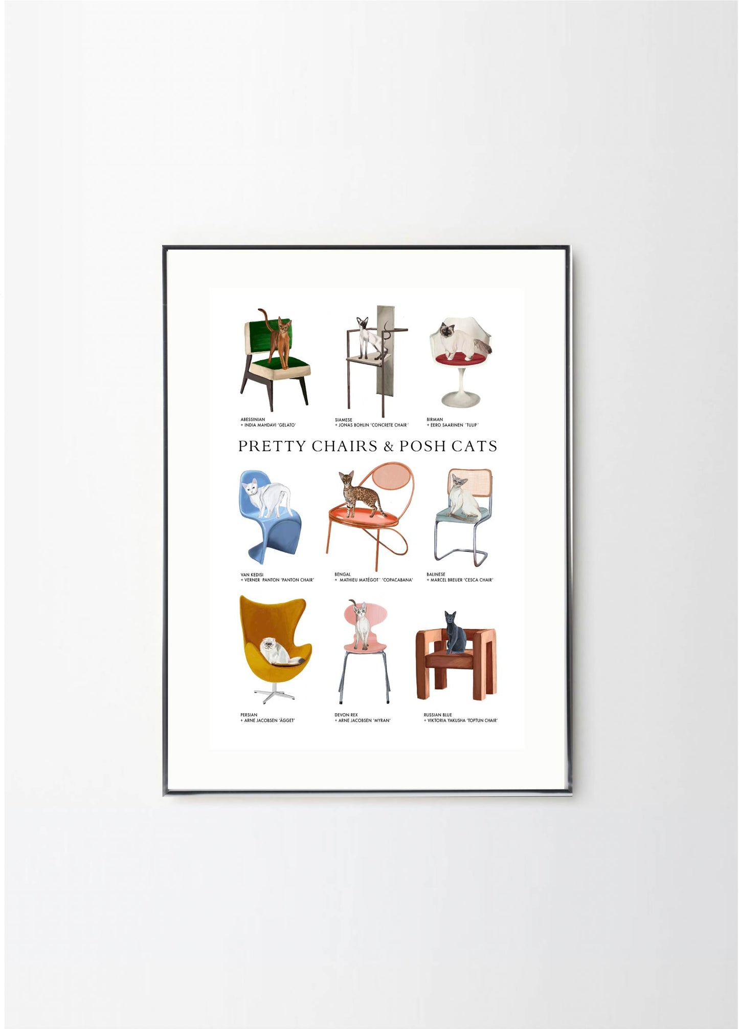 Pretty Chairs & Posh Cats