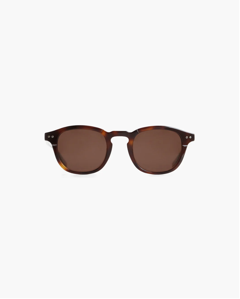 Todd Tortoise Brown