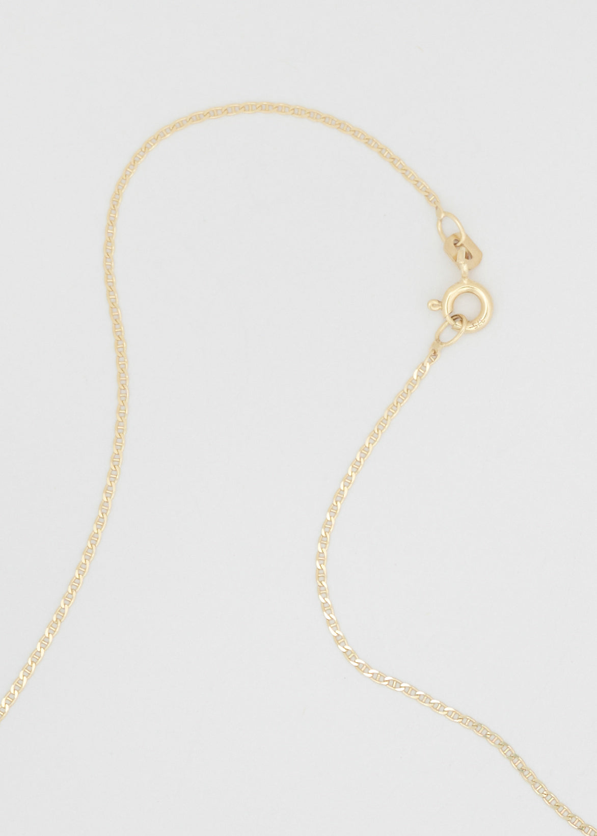 Thin Tiger Chain 14k gold