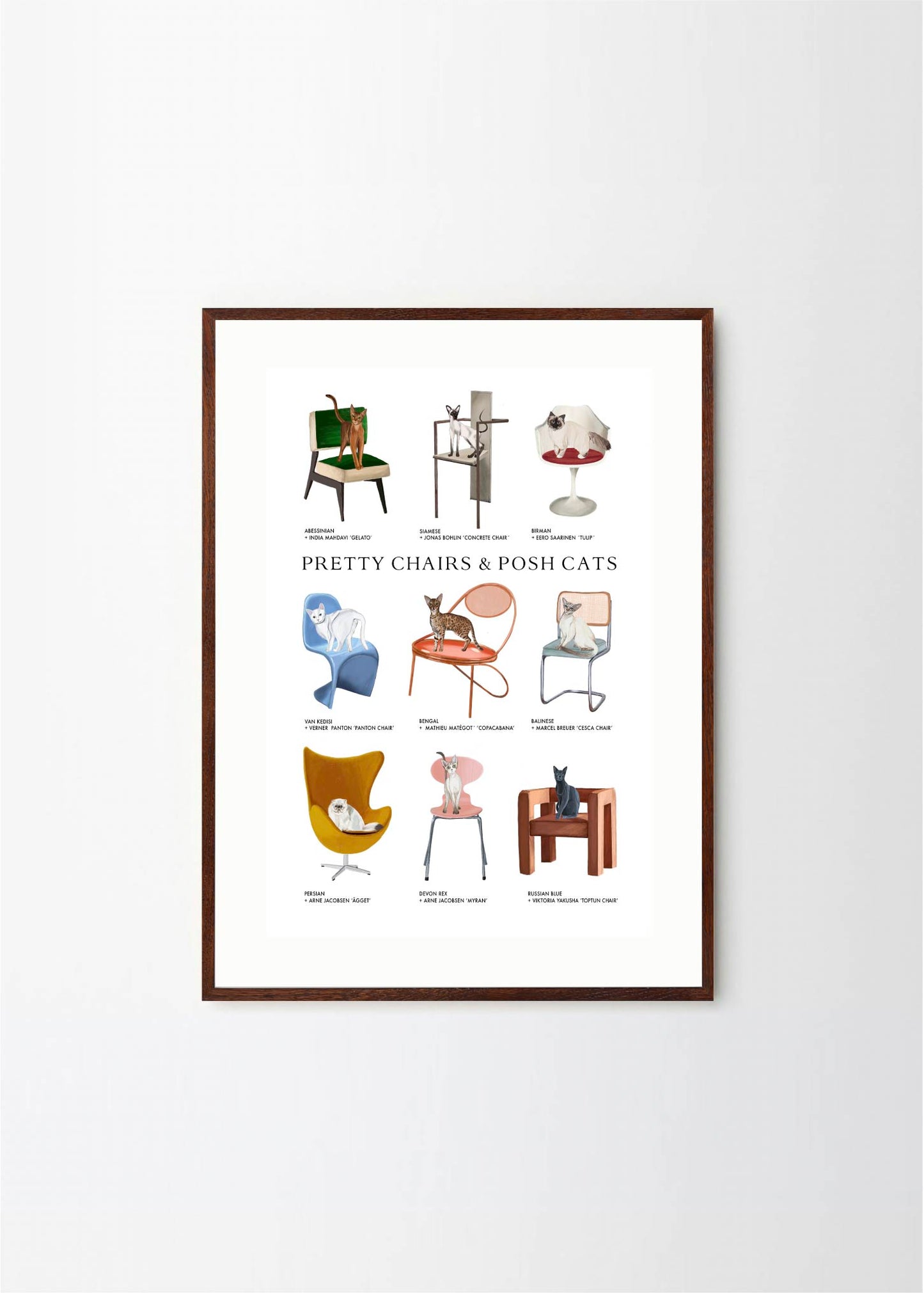Pretty Chairs & Posh Cats