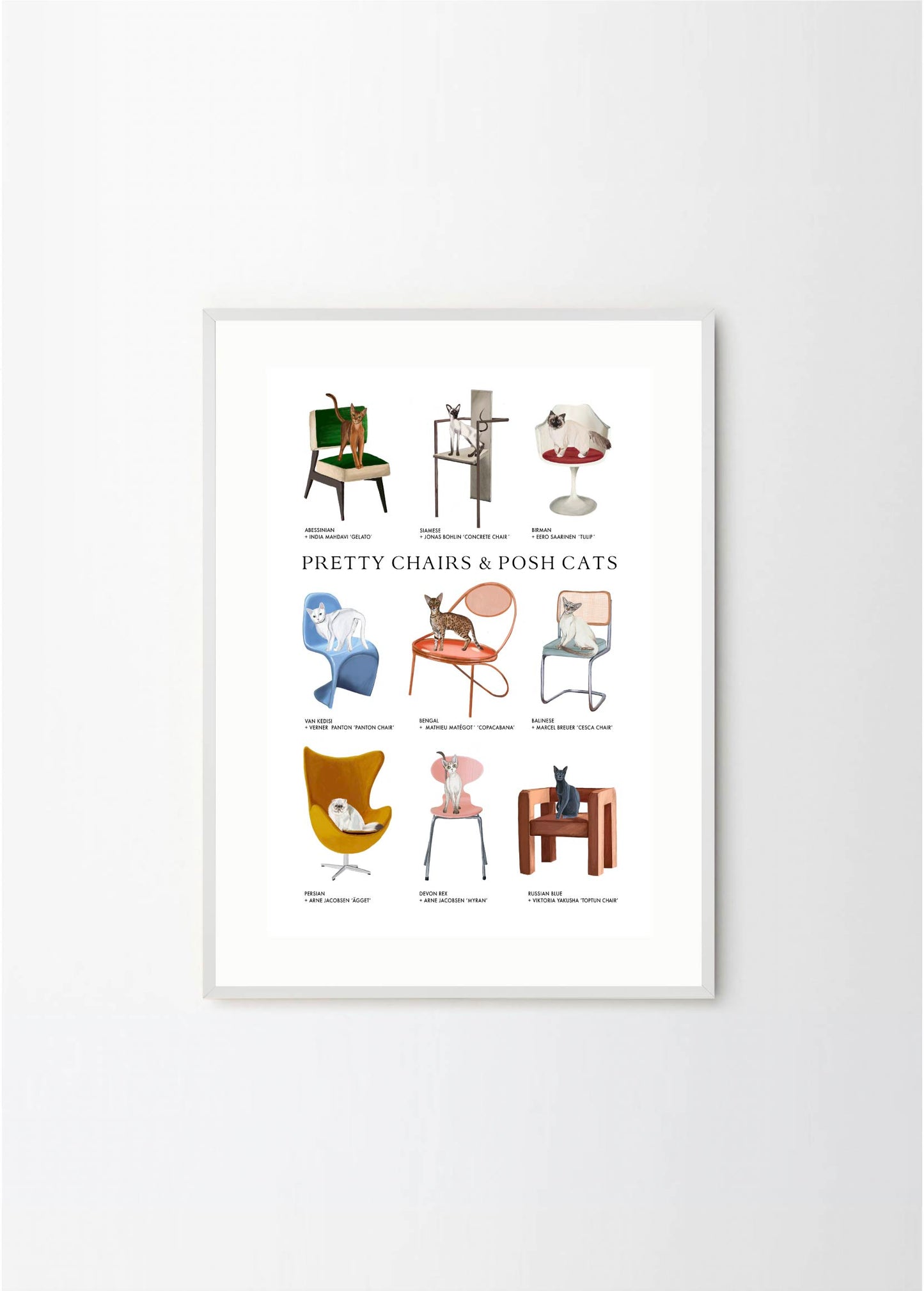 Pretty Chairs & Posh Cats