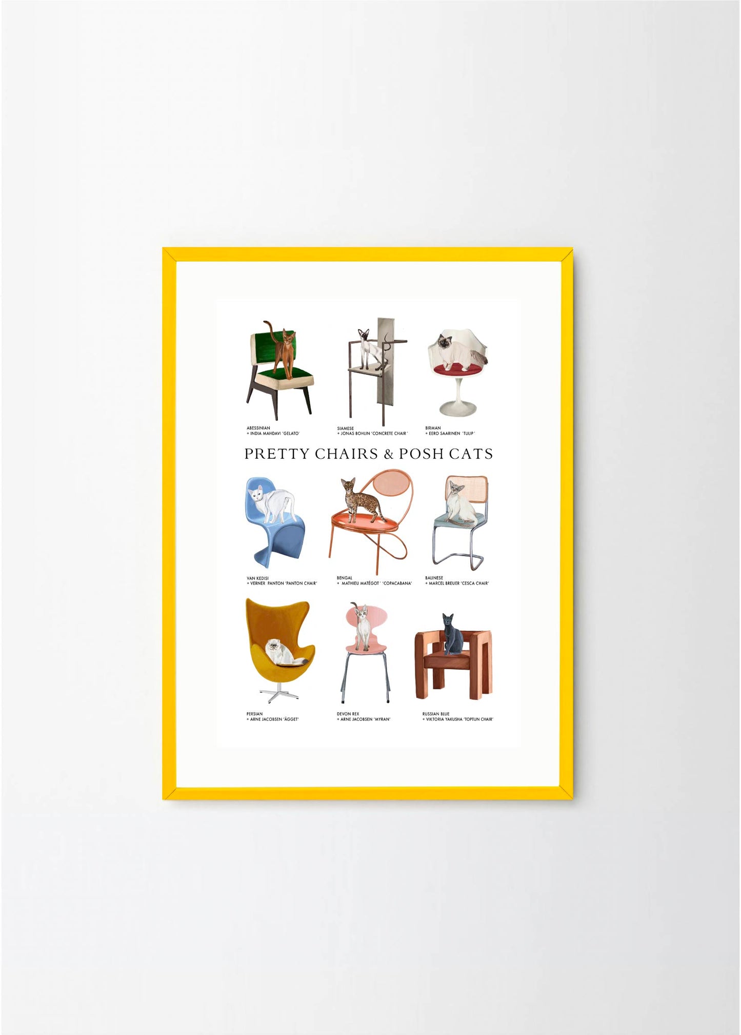 Pretty Chairs & Posh Cats