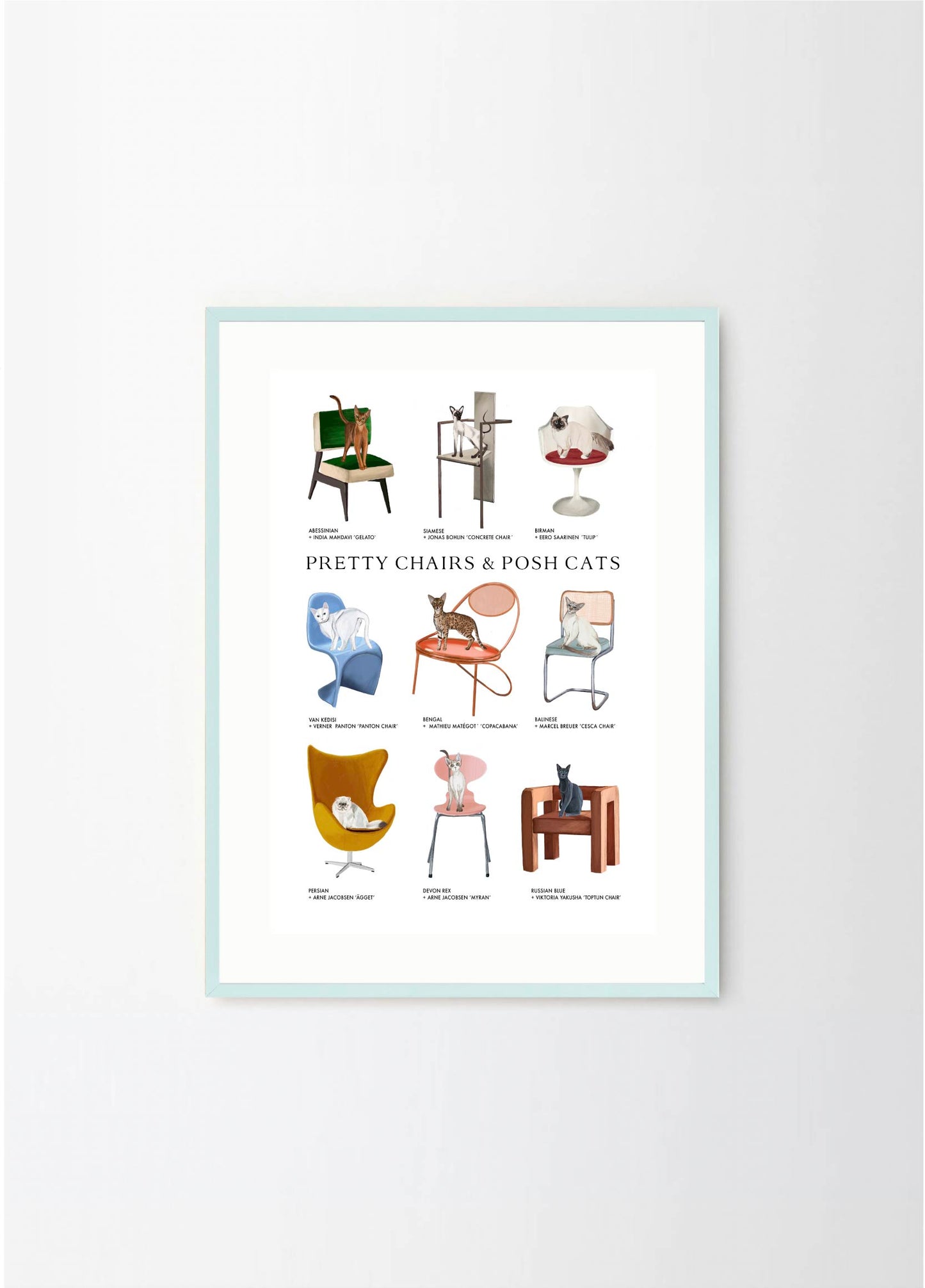 Pretty Chairs & Posh Cats