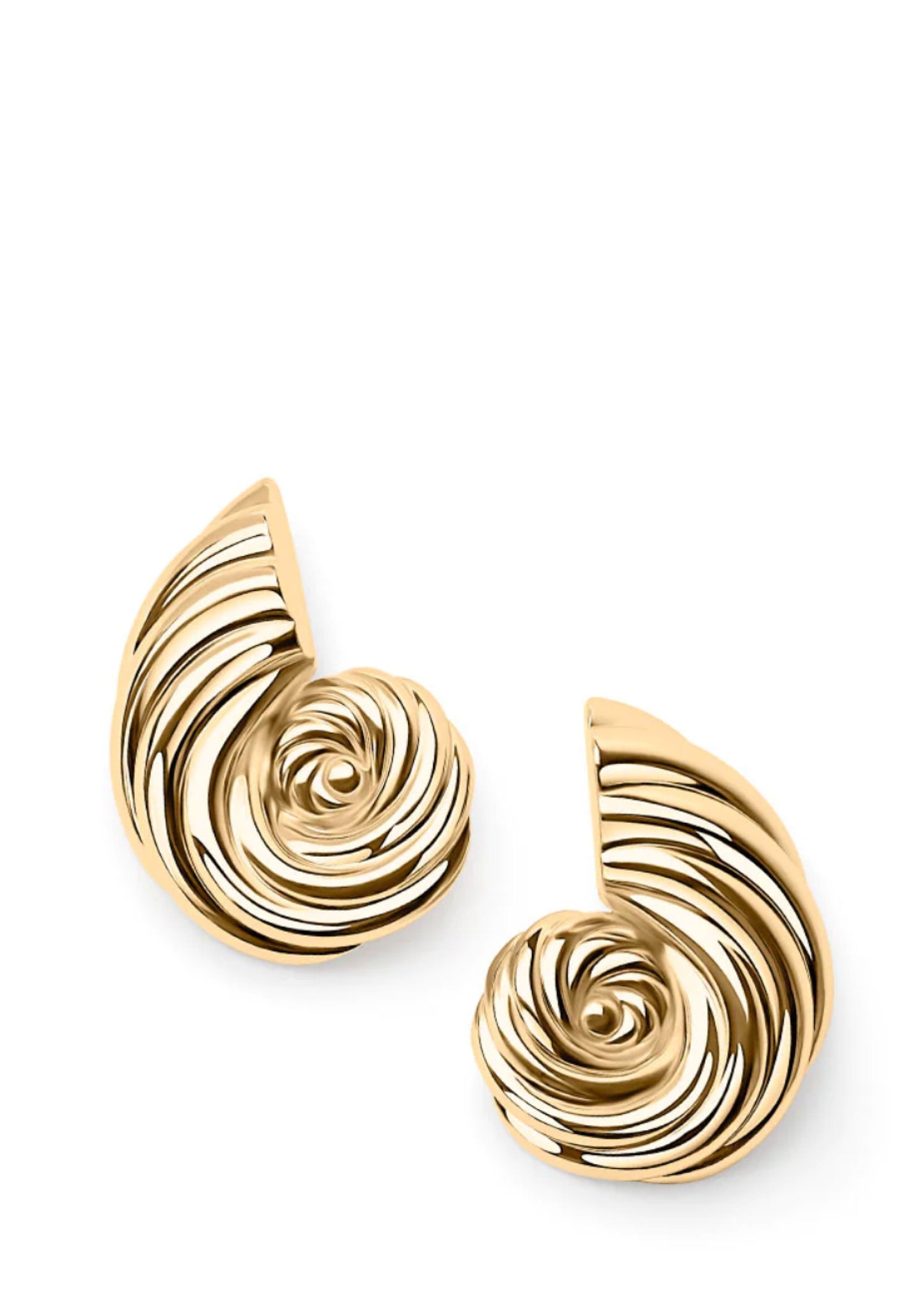 Sea Conch Earrings