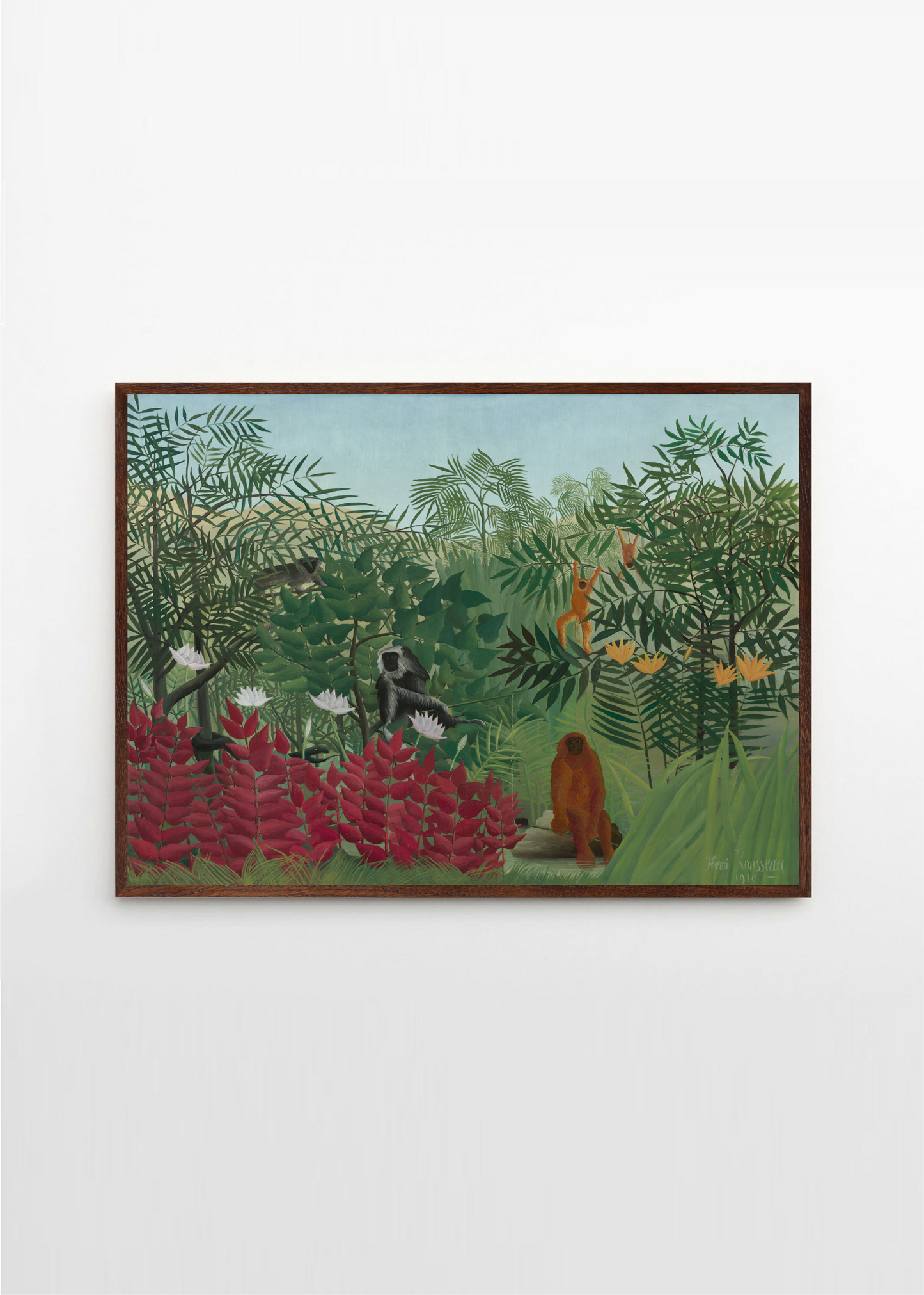 Tropical Forrest