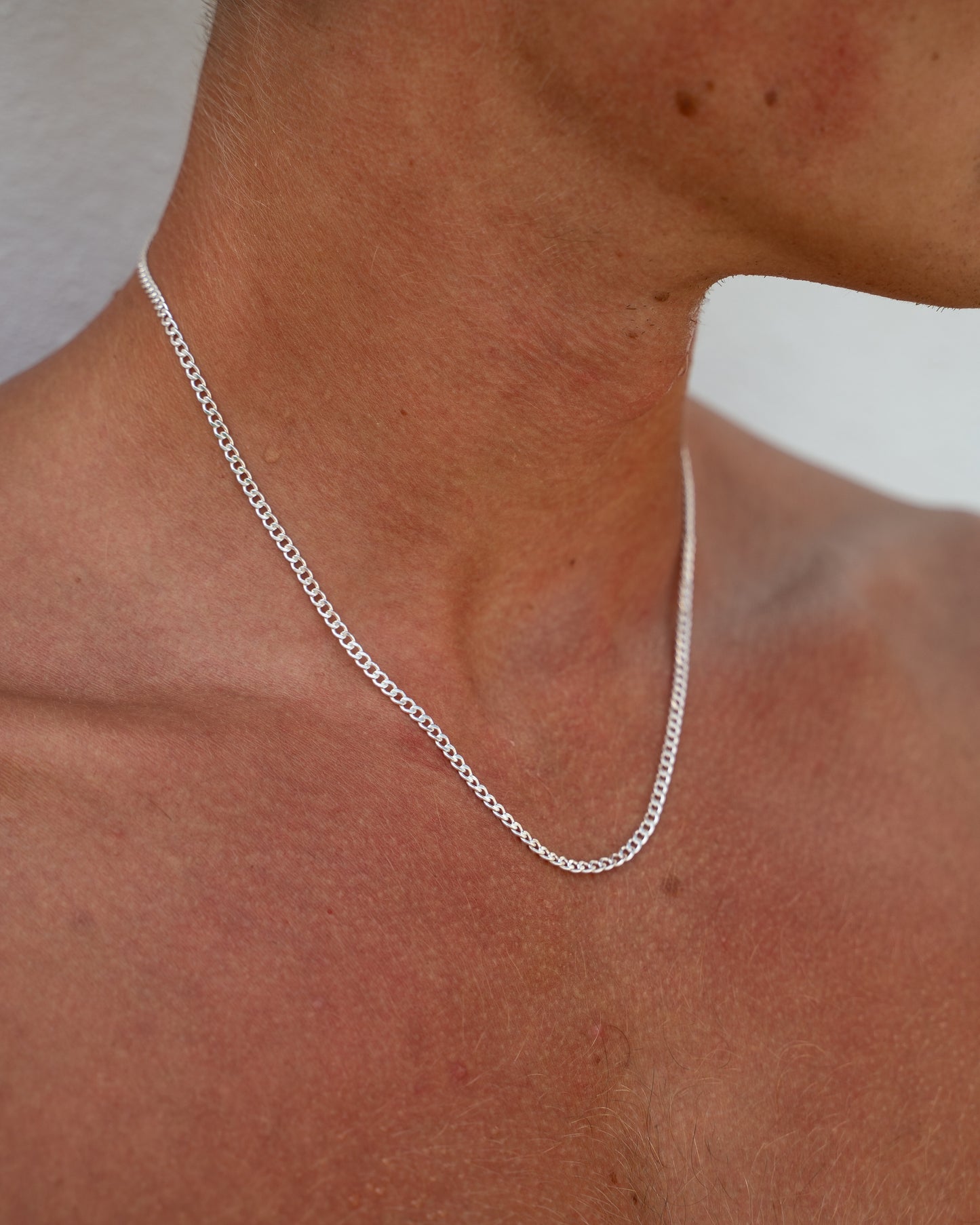 Pansar Necklace 2mm Silver