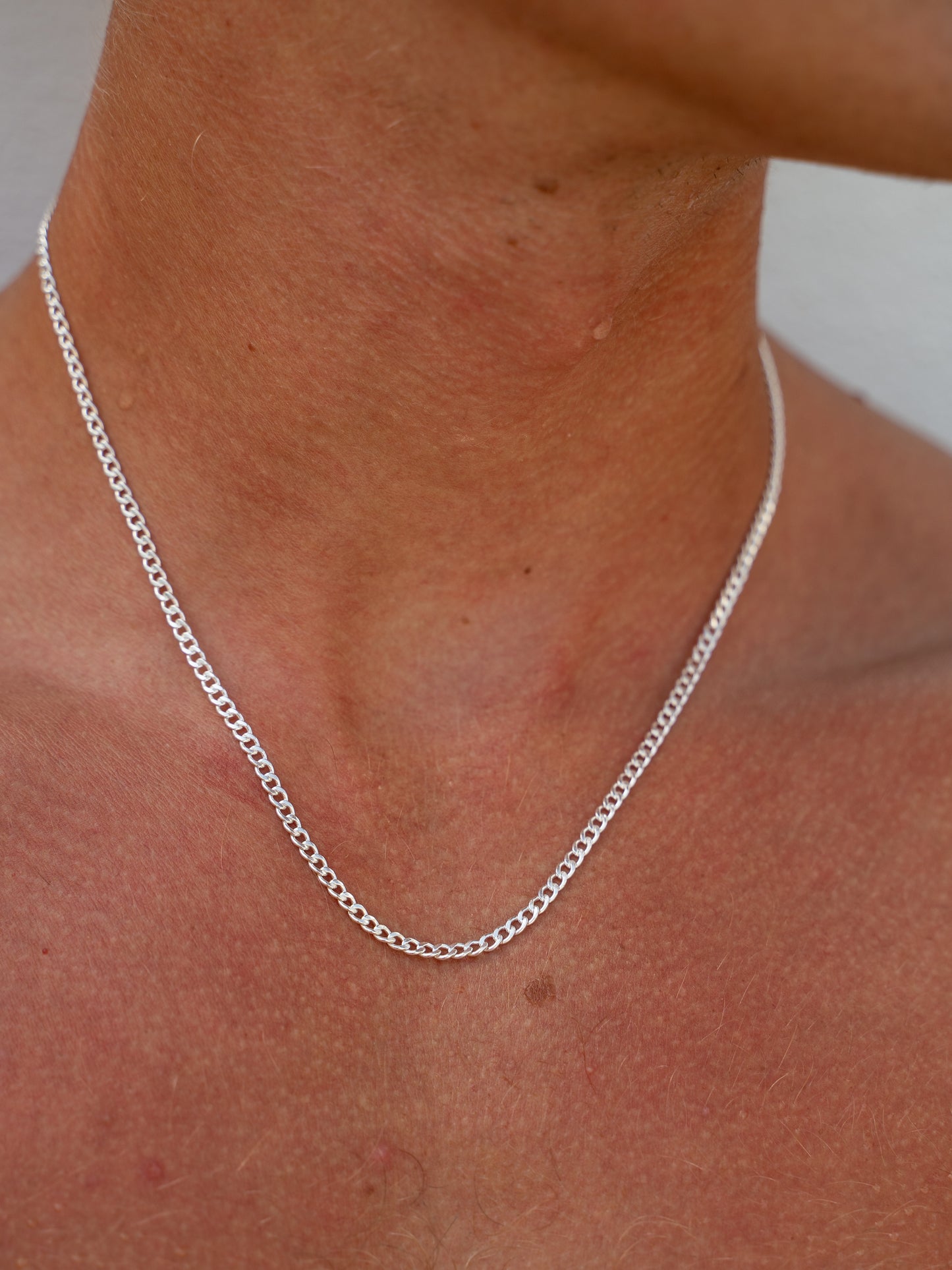 Pansar Necklace 2mm Silver