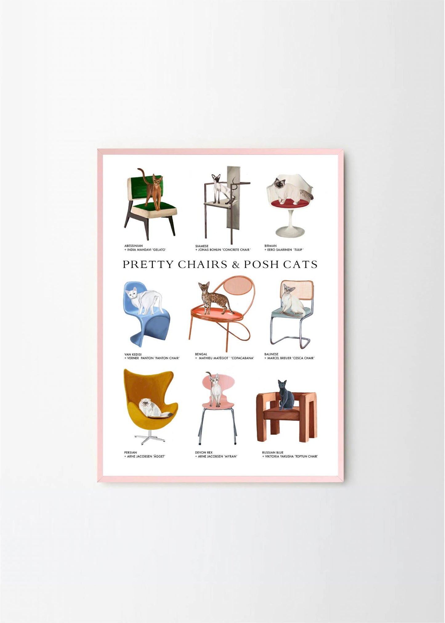 Pretty Chairs & Posh Cats