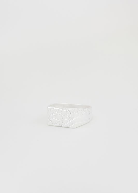 Cracked Signet Ring