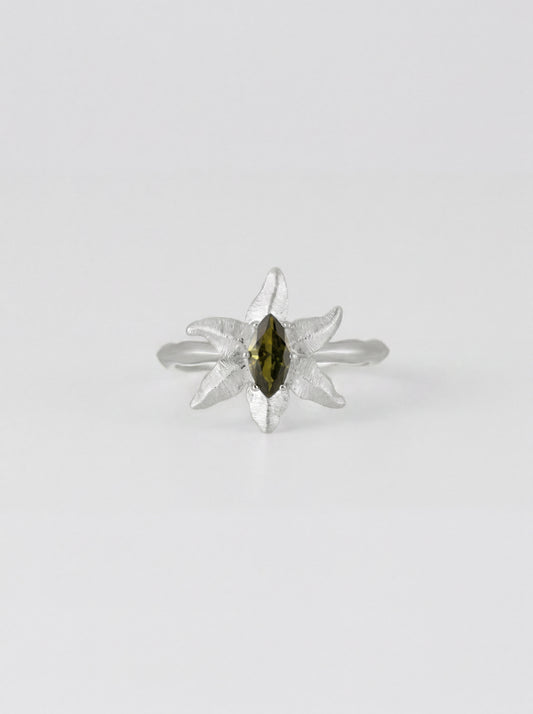 Moth Star Ring