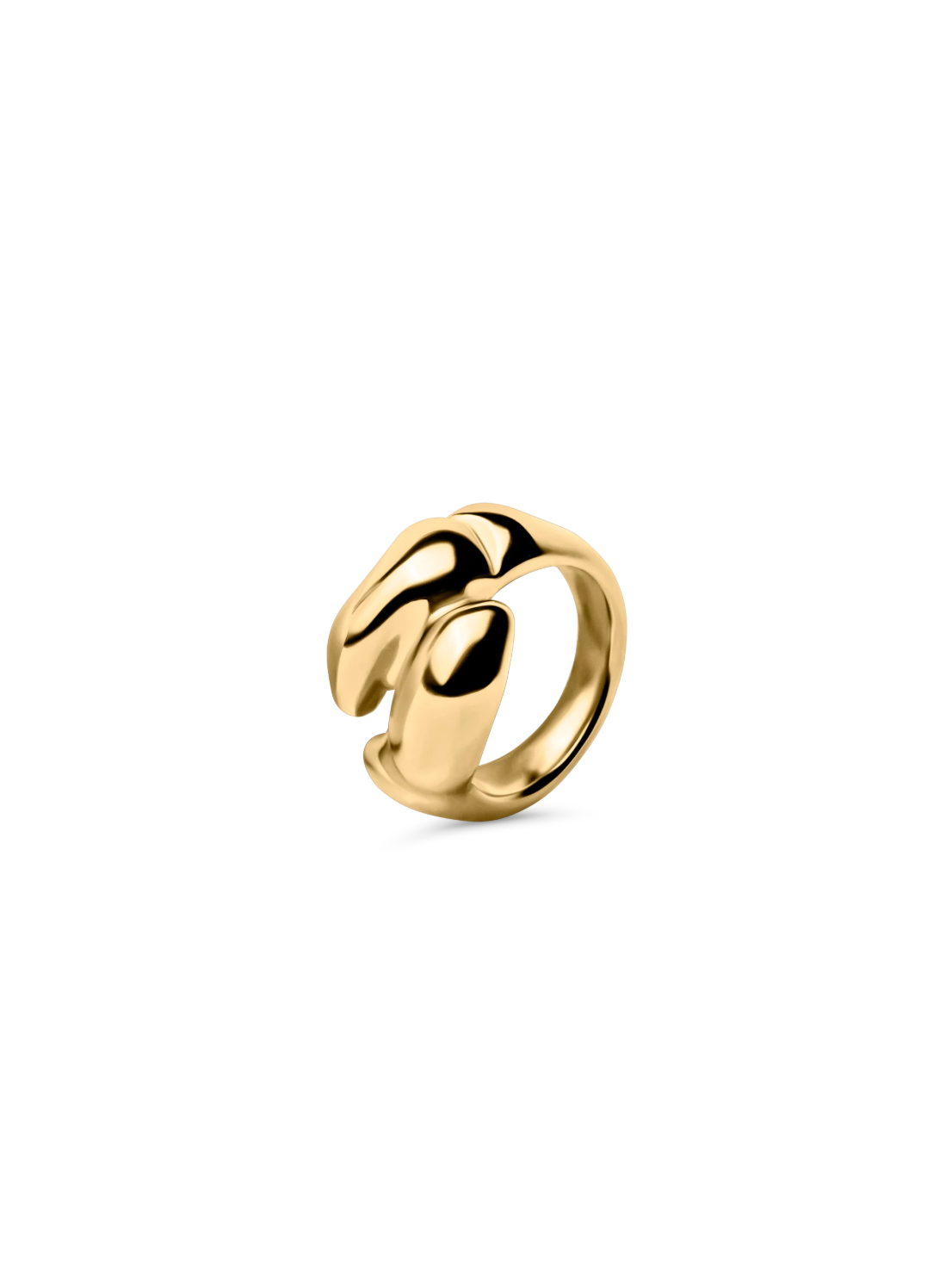 Dune Duo Ring