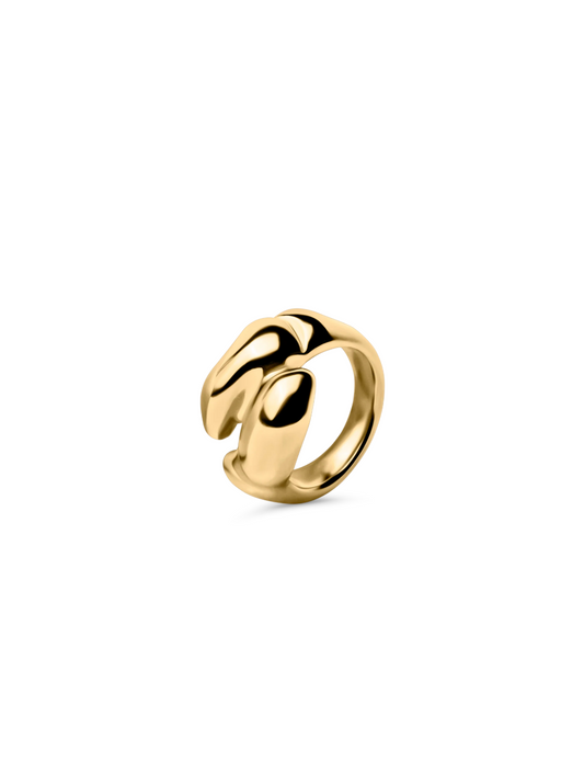 Dune Duo Ring