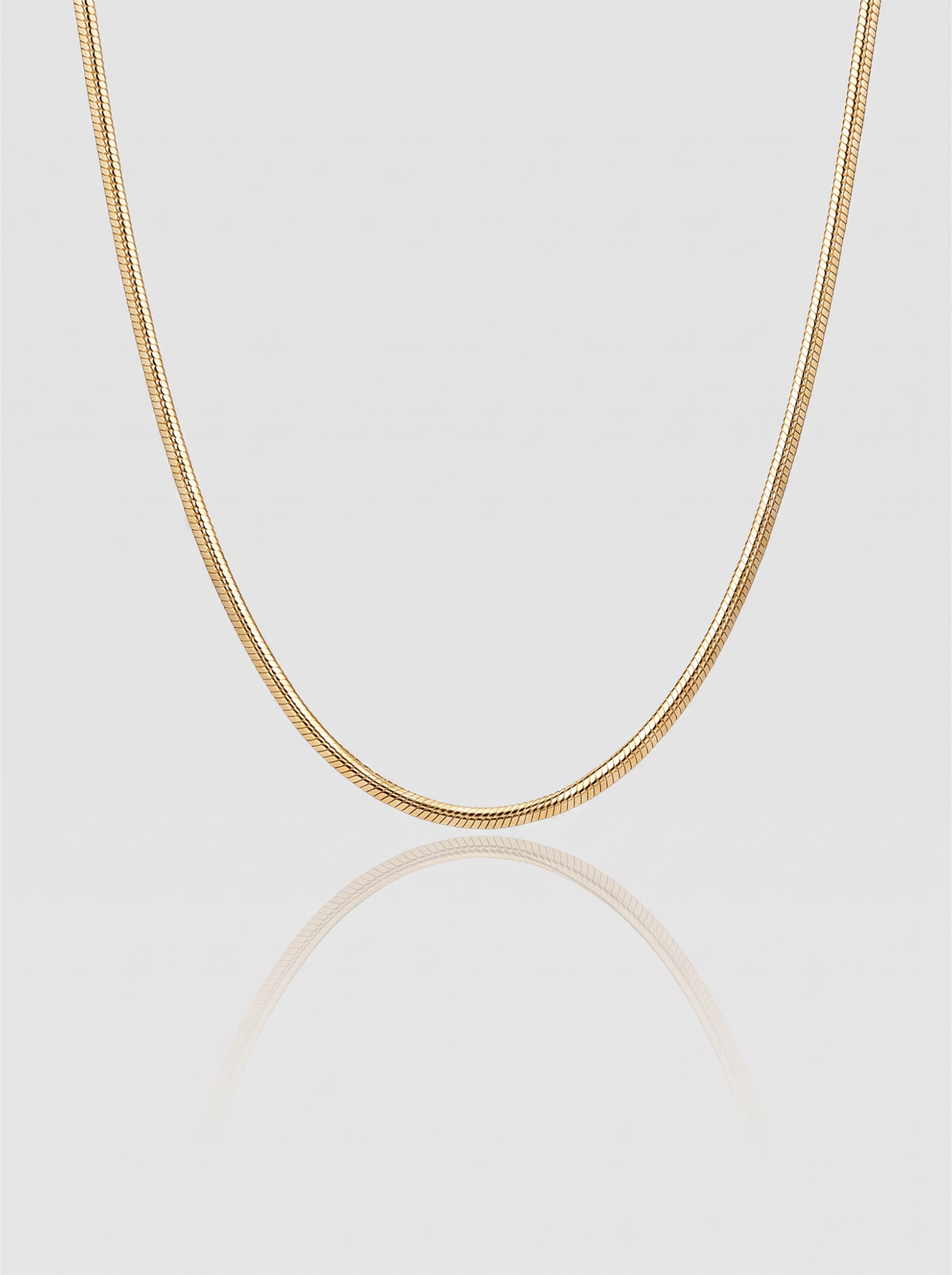 Thin Snake Necklace