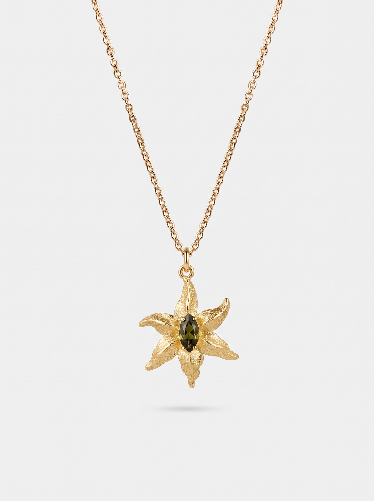 Moth Star Necklace Silver