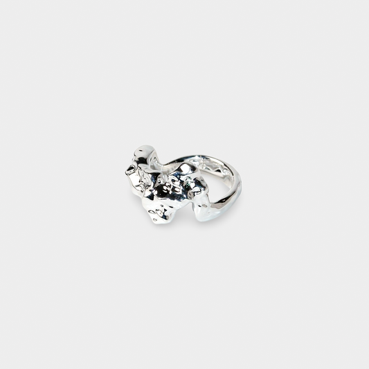 Vemini Ring Silver